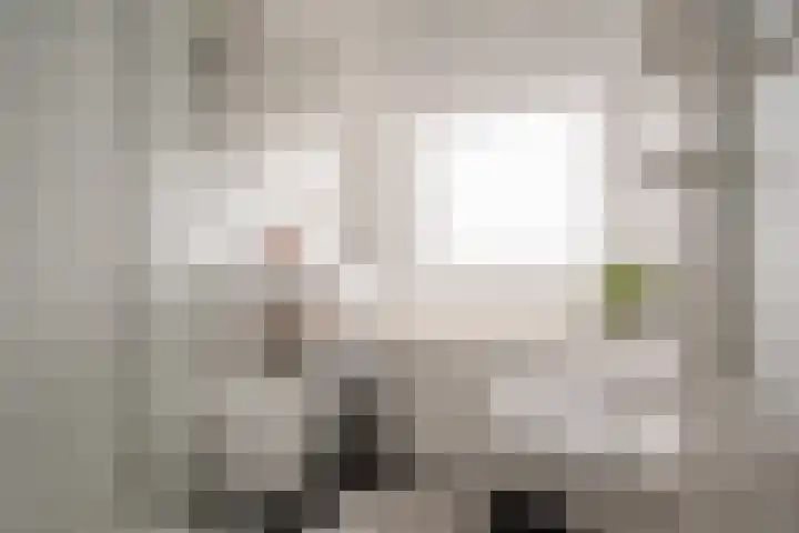 Meesterjoostenlaan 7 Haarlem thumbnail 28