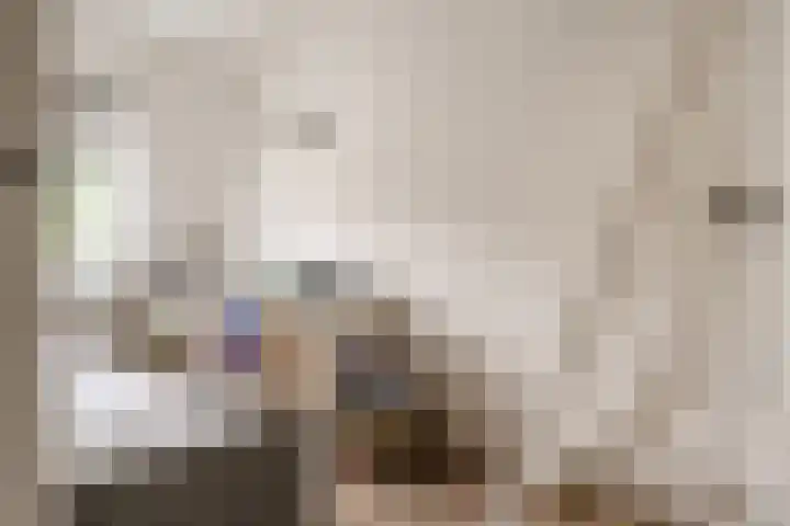 Meesterjoostenlaan 7 Haarlem thumbnail 30