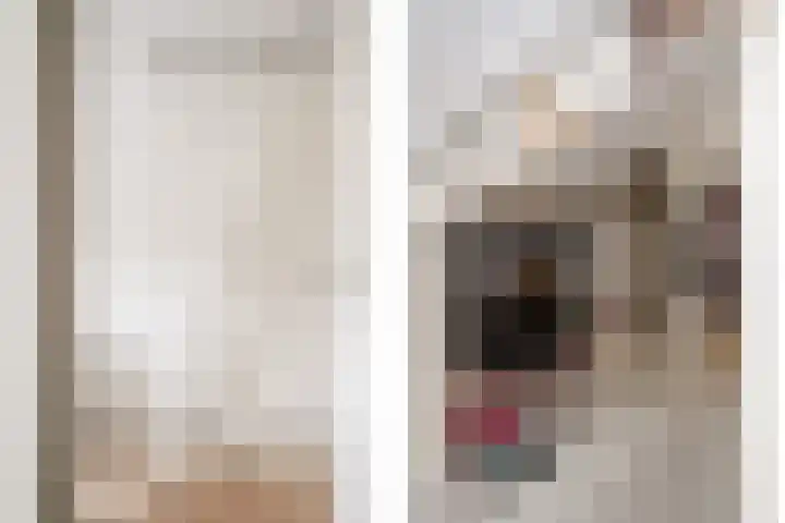 Meesterjoostenlaan 7 Haarlem thumbnail 33