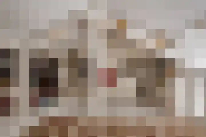 Meesterjoostenlaan 7 Haarlem thumbnail 34
