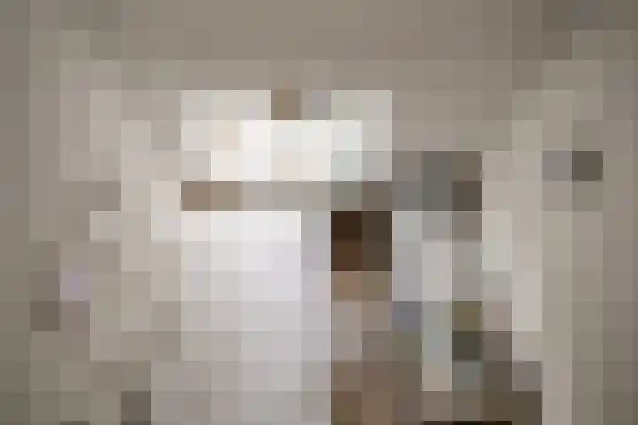 Meesterjoostenlaan 7 Haarlem thumbnail 35