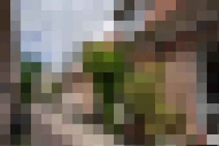 Meesterjoostenlaan 7 Haarlem thumbnail 36