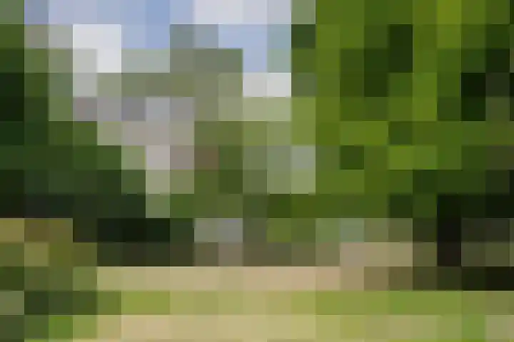 Meesterjoostenlaan 7 Haarlem thumbnail 37