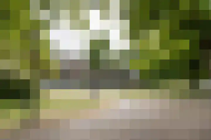 Meesterjoostenlaan 7 Haarlem thumbnail 38