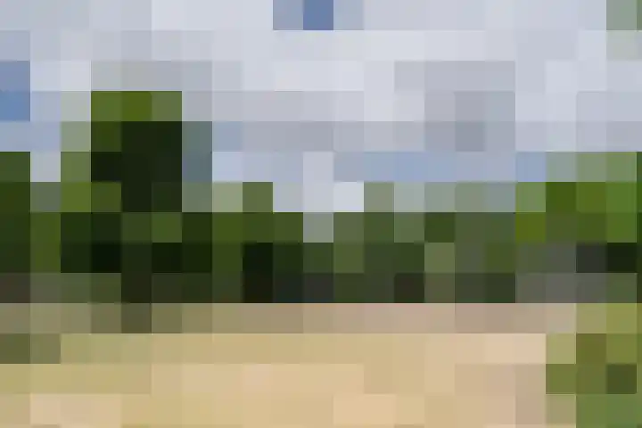 Meesterjoostenlaan 7 Haarlem thumbnail 39