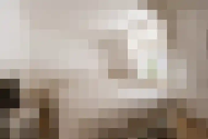 Meesterjoostenlaan 7 Haarlem thumbnail 4