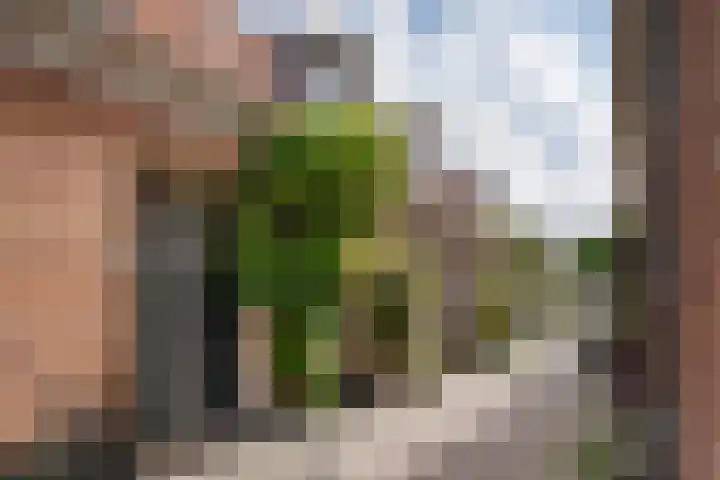 Meesterjoostenlaan 7 Haarlem thumbnail 5