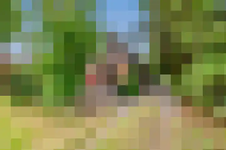 Meesterslaan 12 Westerbroek thumbnail 4