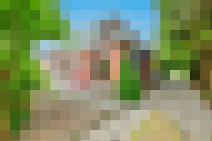 Meesterslaan 12 Westerbroek thumbnail 5