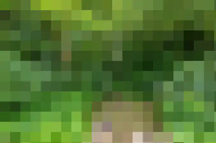 Meesterslaan 12 Westerbroek thumbnail 7