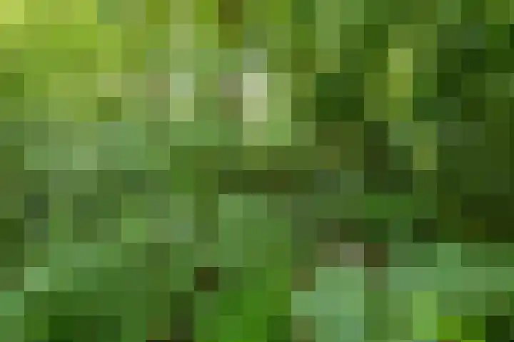 Meesterslaan 12 Westerbroek thumbnail 8