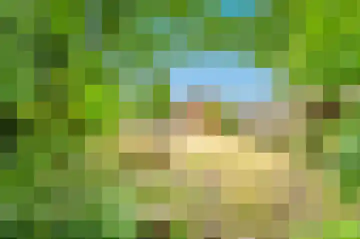 Meesterslaan 12 Westerbroek thumbnail 9