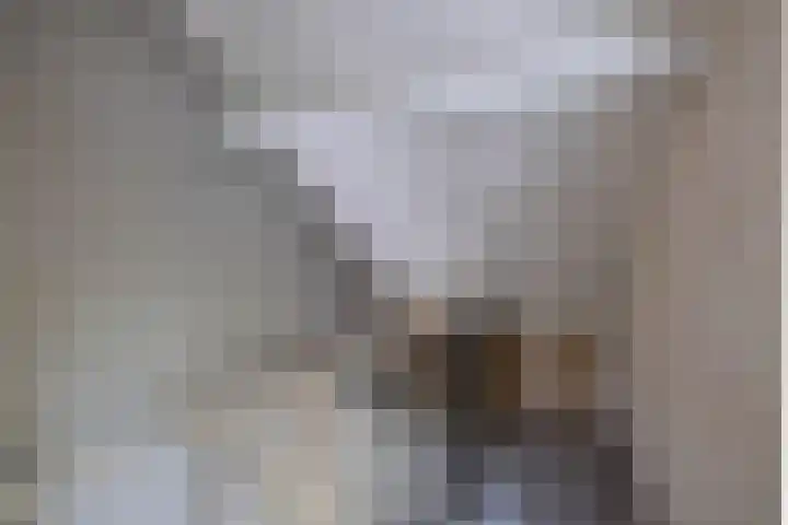 Meesterslaan 15 Westerbroek thumbnail 12