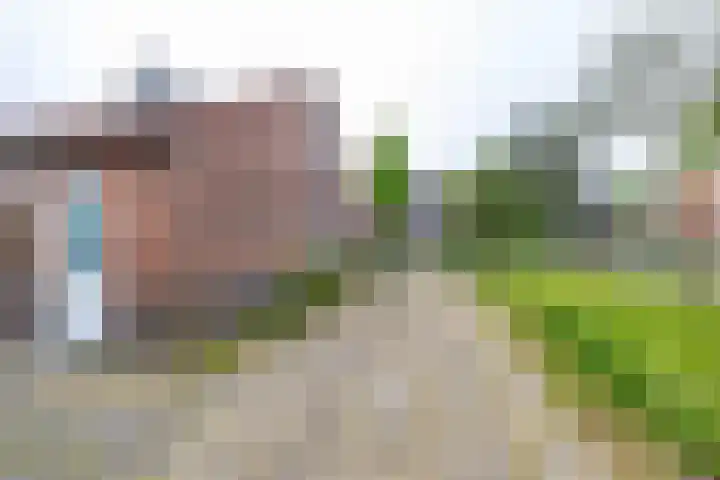 Meesterslaan 15 Westerbroek thumbnail 16