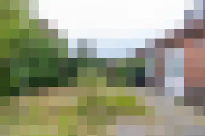 Meesterslaan 15 Westerbroek thumbnail 17