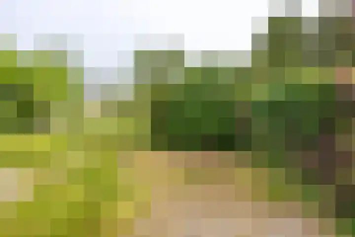 Meesterslaan 15 Westerbroek thumbnail 18