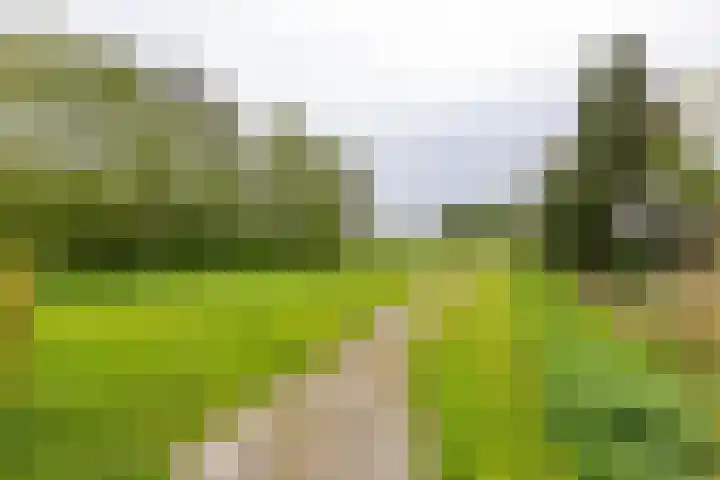 Meesterslaan 15 Westerbroek thumbnail 19