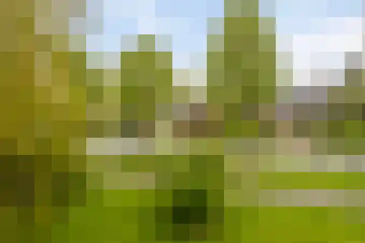 Meestersplein 18 Bemmel thumbnail 16