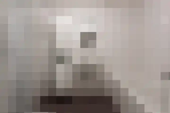 Meestersplein 18 Bemmel thumbnail 23
