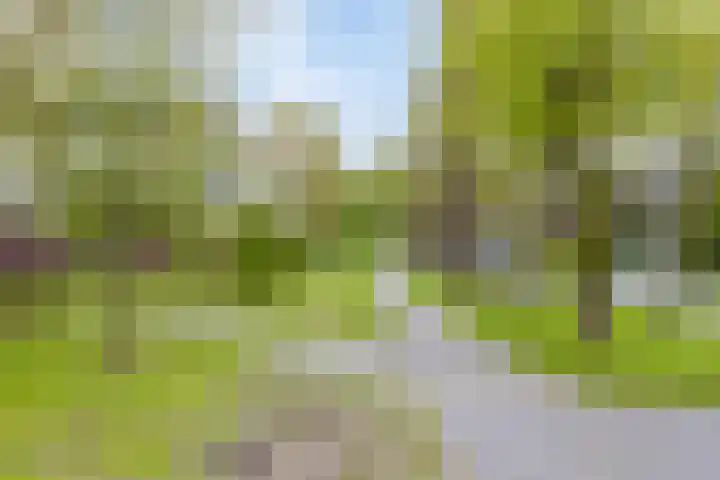 Meestersplein 18 Bemmel thumbnail 33