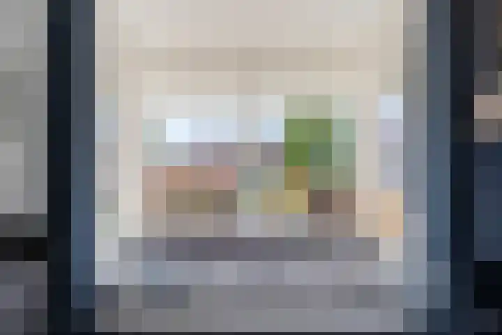 Meestersweg 5 Staphorst thumbnail 14