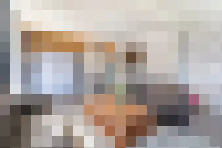 Meestersweg 5 Staphorst thumbnail 15
