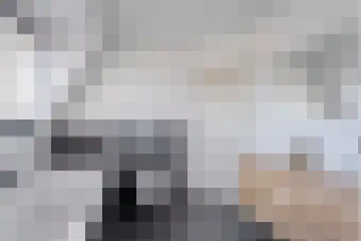 Meestersweg 5 Staphorst thumbnail 29