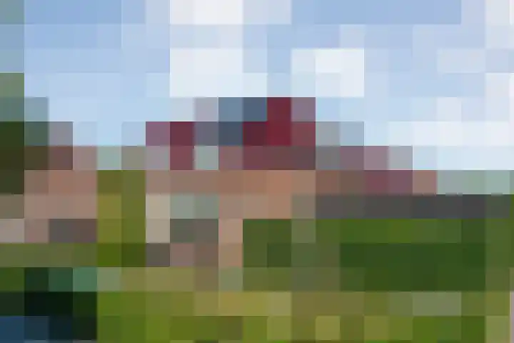 Meestersweg 5 Staphorst thumbnail 31