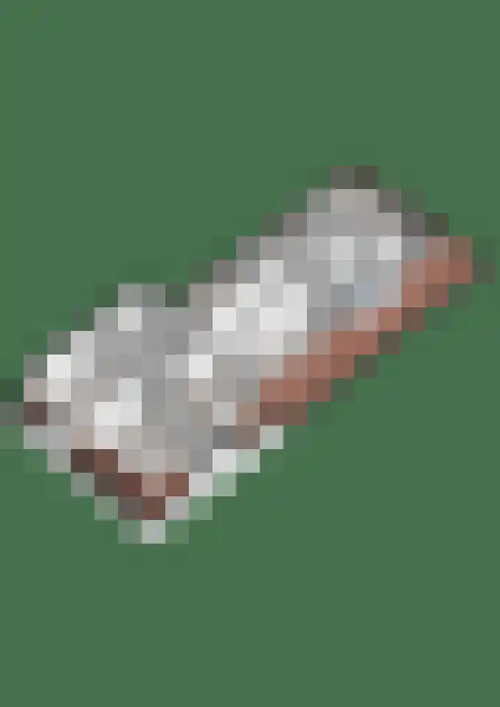 Meestersweg 5 Staphorst thumbnail 42