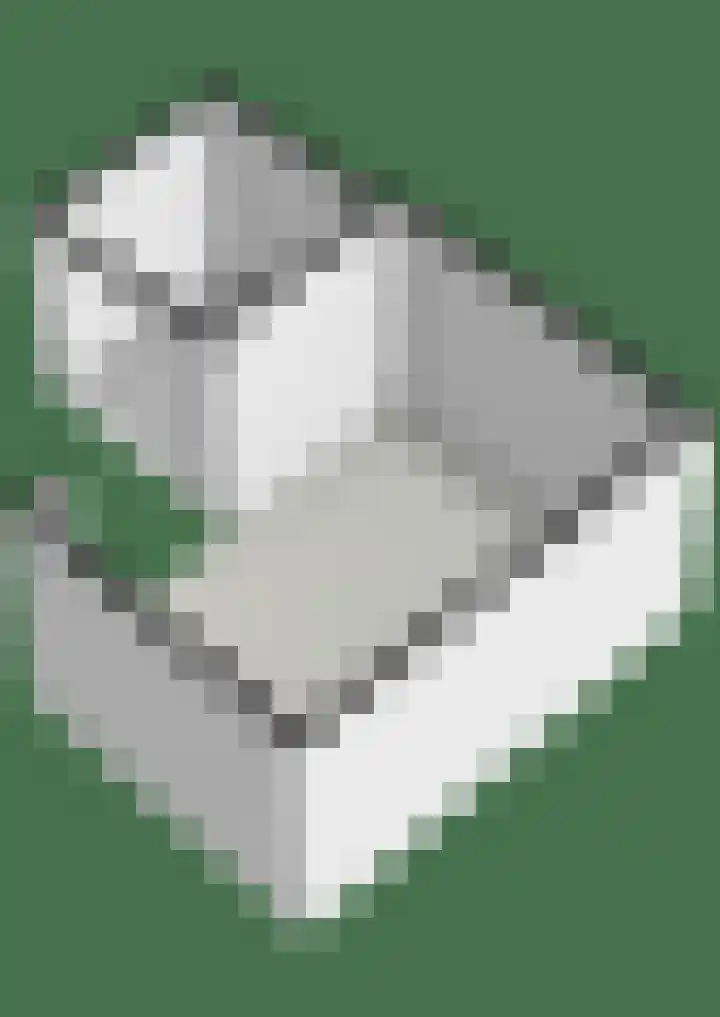 Meestersweg 5 Staphorst thumbnail 44