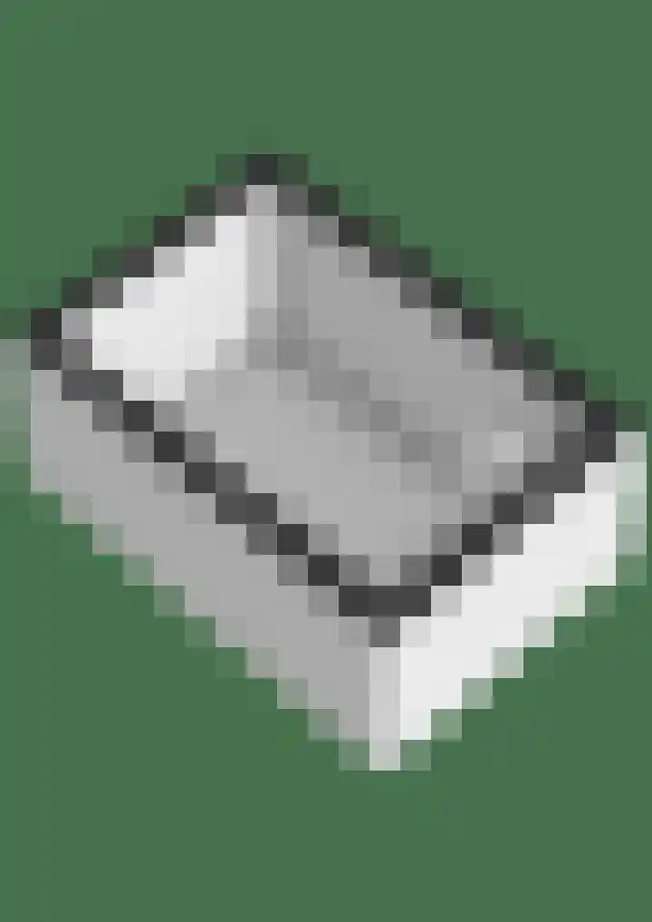Meestersweg 5 Staphorst thumbnail 46