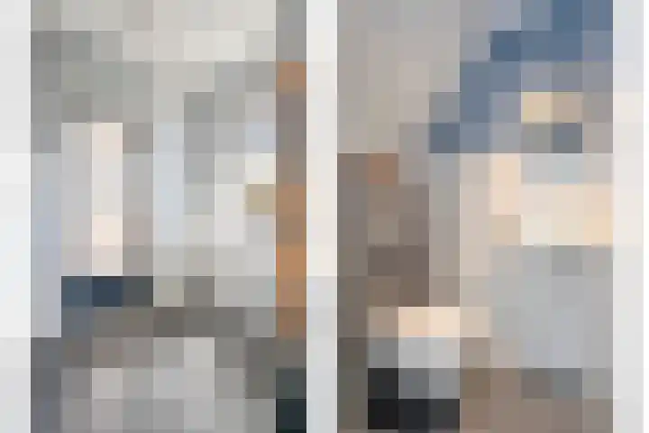 Meestersweg 5 Staphorst thumbnail 6