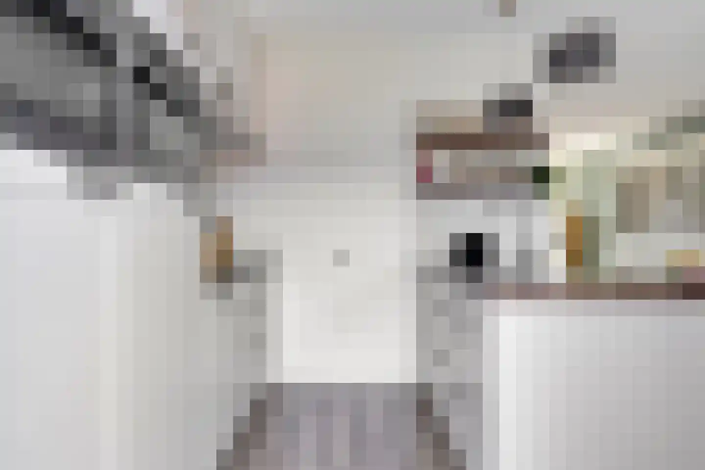 Meestoof 13 Colijnsplaat thumbnail 15