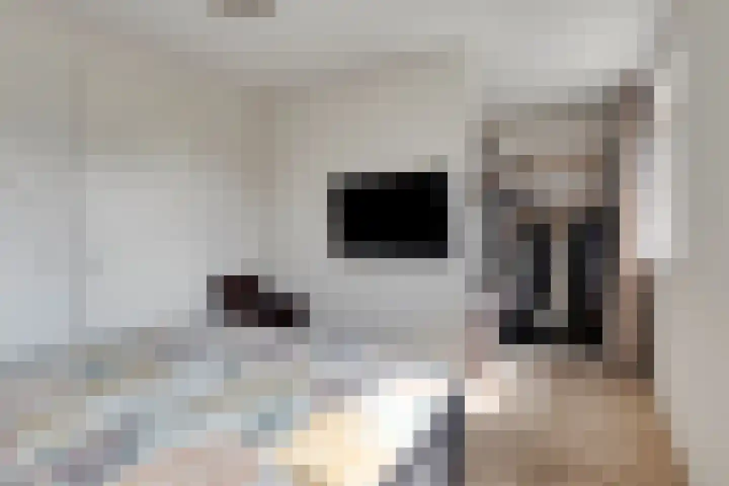 Meestoof 13 Colijnsplaat thumbnail 20