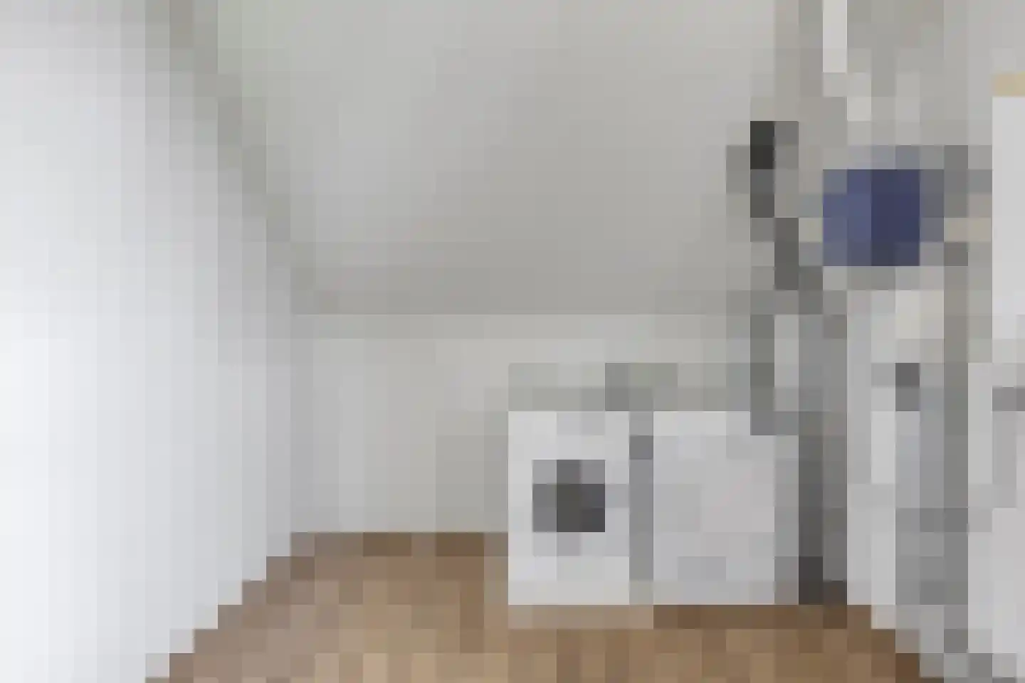 Meestoof 13 Colijnsplaat thumbnail 27