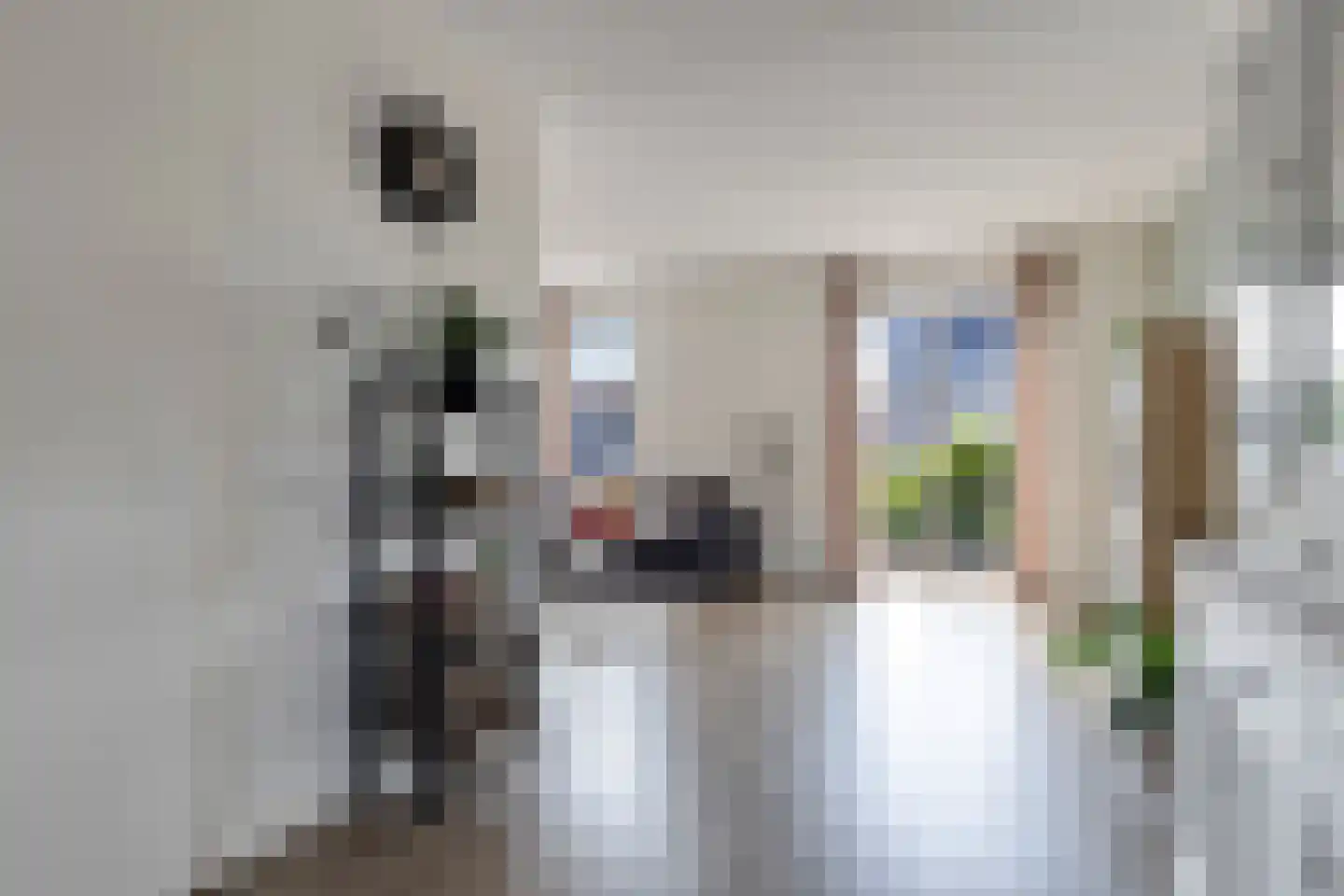 Meestoof 13 Colijnsplaat thumbnail 9