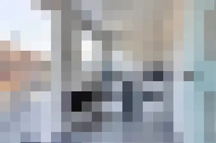 Meestoof 13 Krabbendijke thumbnail 13