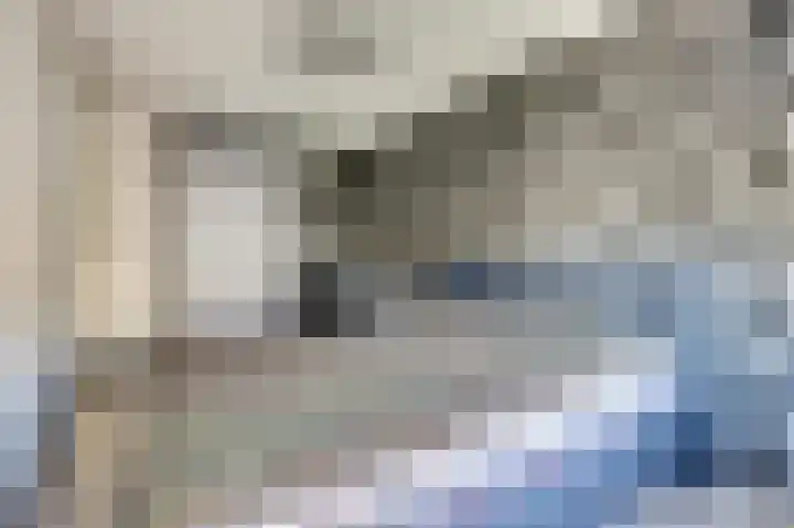 Meestoof 13 Krabbendijke thumbnail 16