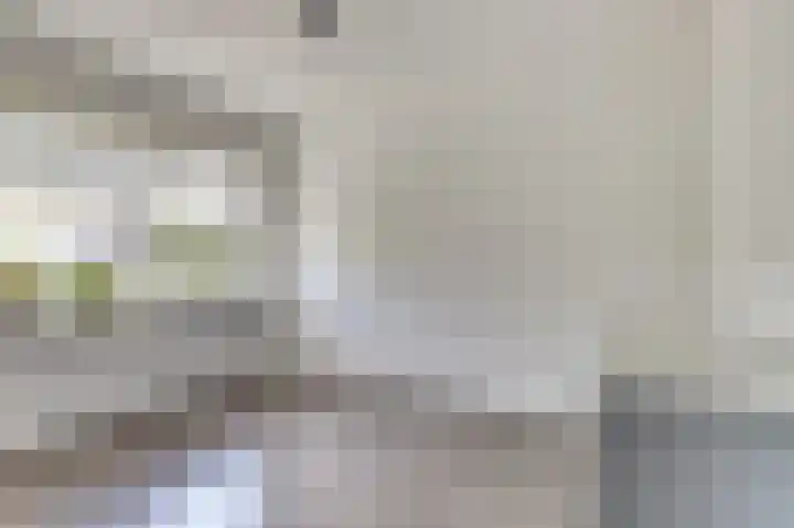 Meestoof 13 Krabbendijke thumbnail 19