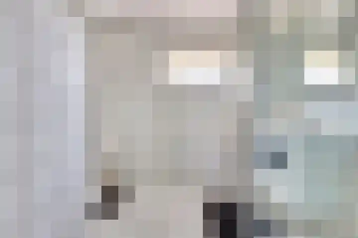 Meestoof 13 Krabbendijke thumbnail 22