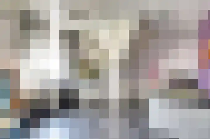 Meestoof 13 Krabbendijke thumbnail 26