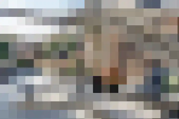 Meestoof 13 Krabbendijke thumbnail 30