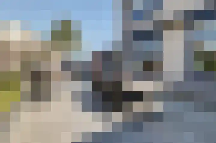 Meestoof 13 Krabbendijke thumbnail 32
