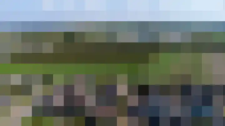 Meestoof 13 Krabbendijke thumbnail 37