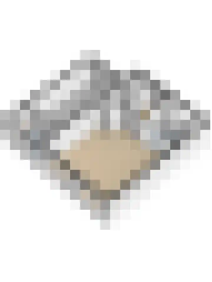 Meestoof 13 Krabbendijke thumbnail 46