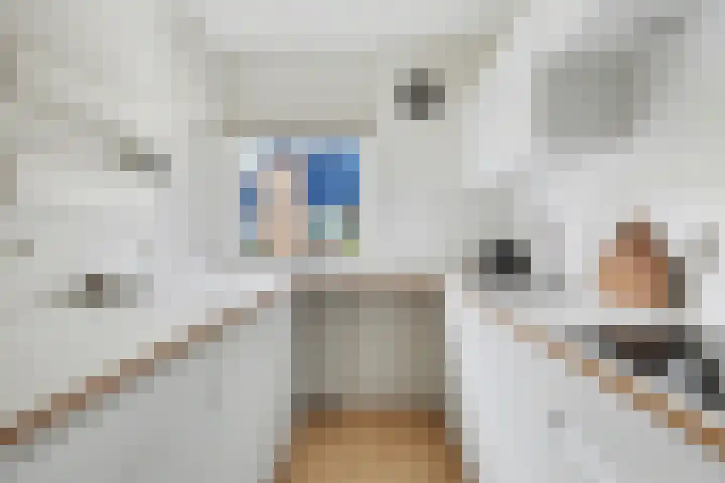 Meestoof 16 Oud-Beijerland thumbnail 11