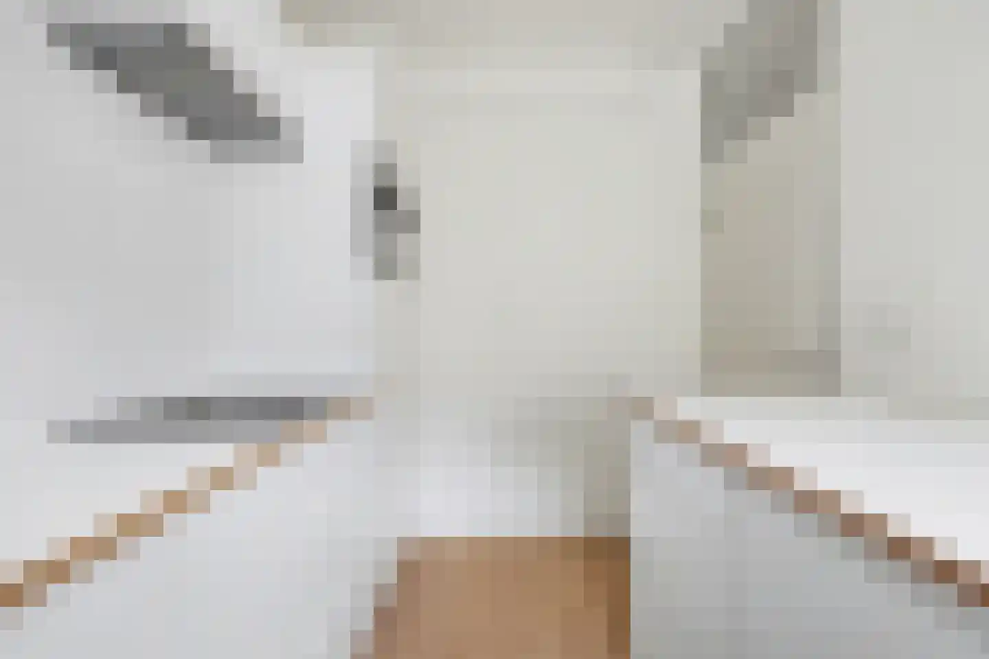 Meestoof 16 Oud-Beijerland thumbnail 12
