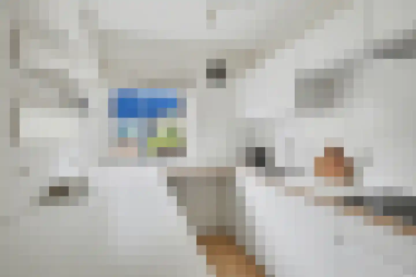 Meestoof 16 Oud-Beijerland thumbnail 4