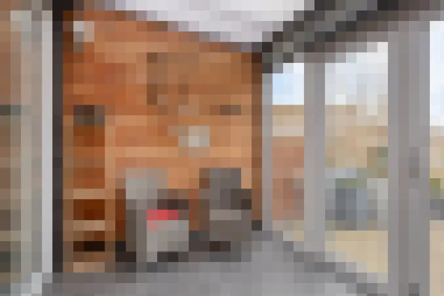 Meestoof 2 Colijnsplaat thumbnail 15