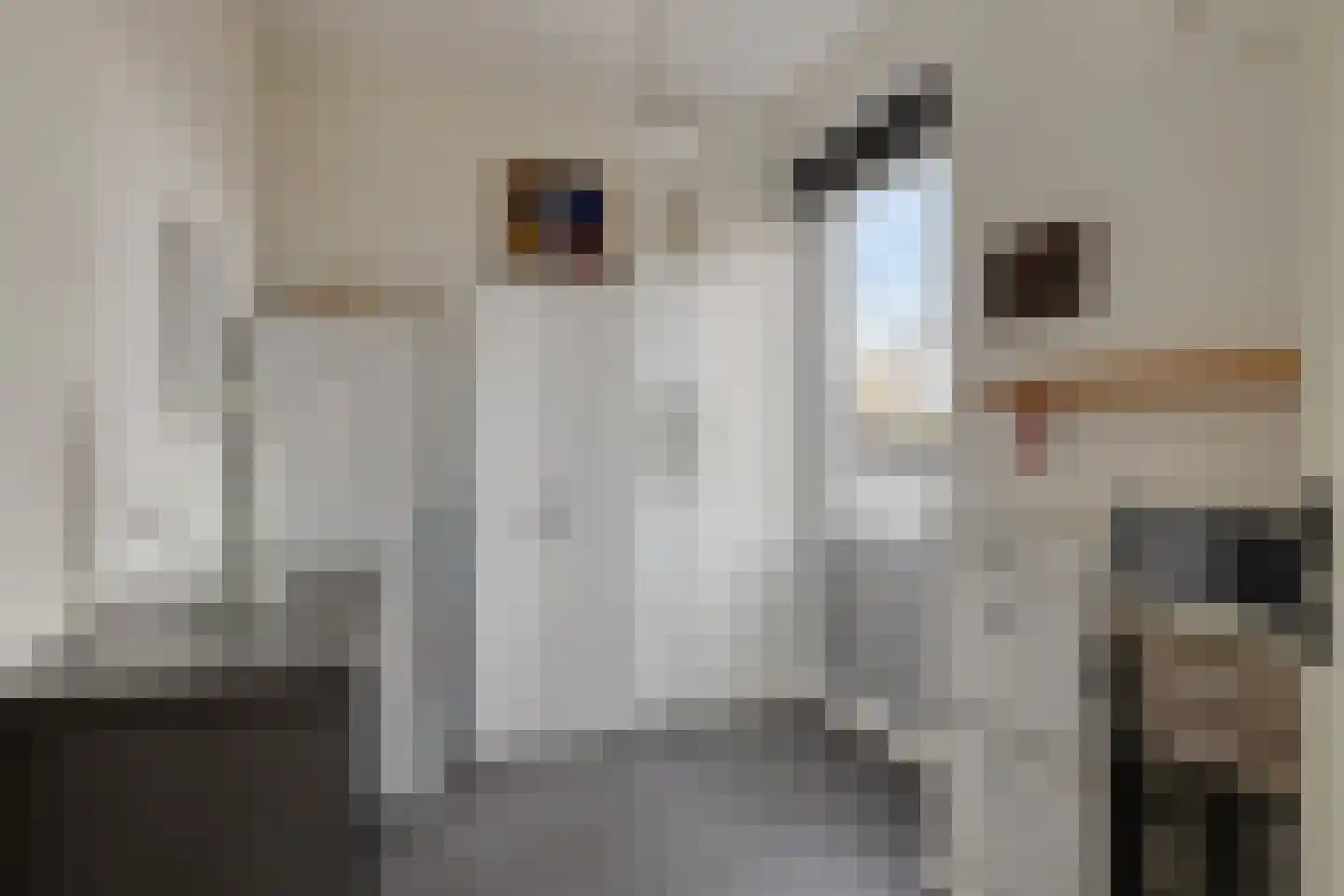 Meestoof 2 Colijnsplaat thumbnail 25